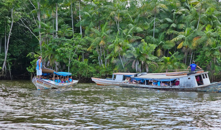 Barcos escolares transportando as crianças