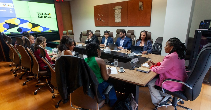 Participantes da reunião junto a Ministra da Cultura, sentados na mesa de reunião