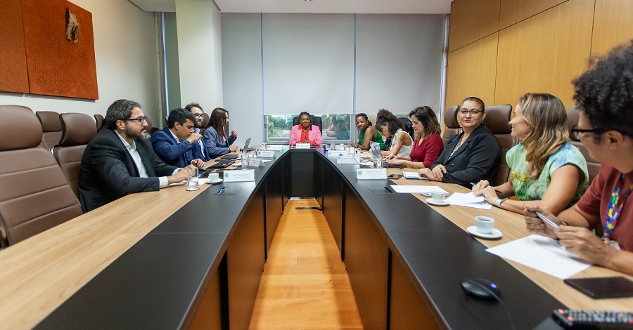 Participantes da reunião junto a Ministra da Cultura, sentados na mesa de reunião